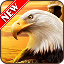 Eagle Wallpapers APK