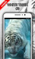 White Tiger Wallpapers screenshot 3