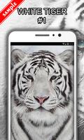 White Tiger Wallpapers screenshot 1