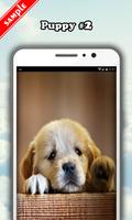 Puppy Wallpaper ảnh chụp màn hình 2