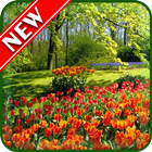 Spring Wallpapers icono