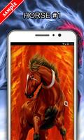 Horse Wallpapers تصوير الشاشة 1