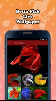 Betta Fish Live Wallpaper โปสเตอร์