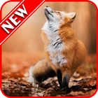 آیکون‌ Fox