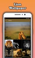 Lion Wallpaper Affiche