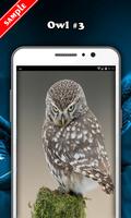 Owl Wallpaper syot layar 3