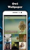 Owl Wallpaper Affiche