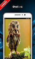 Owl Wallpaper syot layar 1