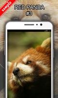 Red Panda screenshot 3