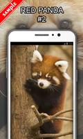 Red Panda screenshot 2