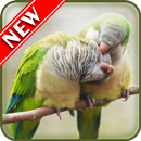 Sweet Animal Wallpapers-APK