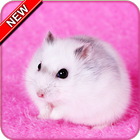 Hamster Wallpaper icono