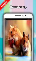 Hamster Wallpaper اسکرین شاٹ 3