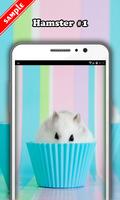 برنامه‌نما Hamster Wallpaper عکس از صفحه