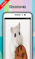 Hamster Wallpaper স্ক্রিনশট 2