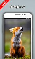 Fox Wallpaper ảnh chụp màn hình 1