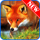 Fox Wallpaper HD иконка