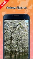 Sakura Tree Wallpaper 截图 3