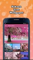 Sakura Tree Wallpaper পোস্টার