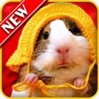 Hamster ícone