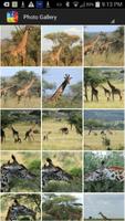 Giraffe Wallpaper ảnh chụp màn hình 1