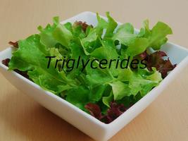 Triglycerides Cartaz
