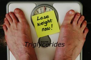 Triglycerides ảnh chụp màn hình 2