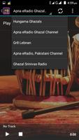 Gazal Radio 截图 3