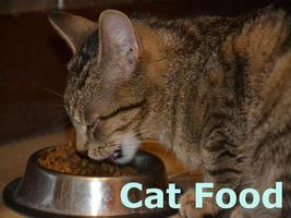 Cat Food 海报