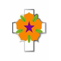 The Orange Chronicle