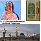 Saxiix Sunan Abi Daawuud ícone