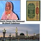 Saxiix Sunan Abi Daawuud ícone
