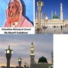Minhajul Usuul آئیکن
