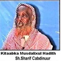 Musdalixul Hadith bài đăng