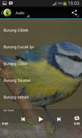 Kompilasi Master Burung imagem de tela 1
