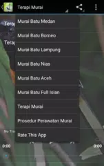 Master Kicau Murai Batu APK download