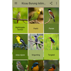 Kicau Burung Istimewa أيقونة