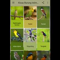 Poster Kicau Burung Istimewa