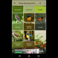 Kicau Burung Istimewa ảnh chụp màn hình 2