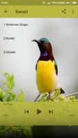 Kicau Burung screenshot 1