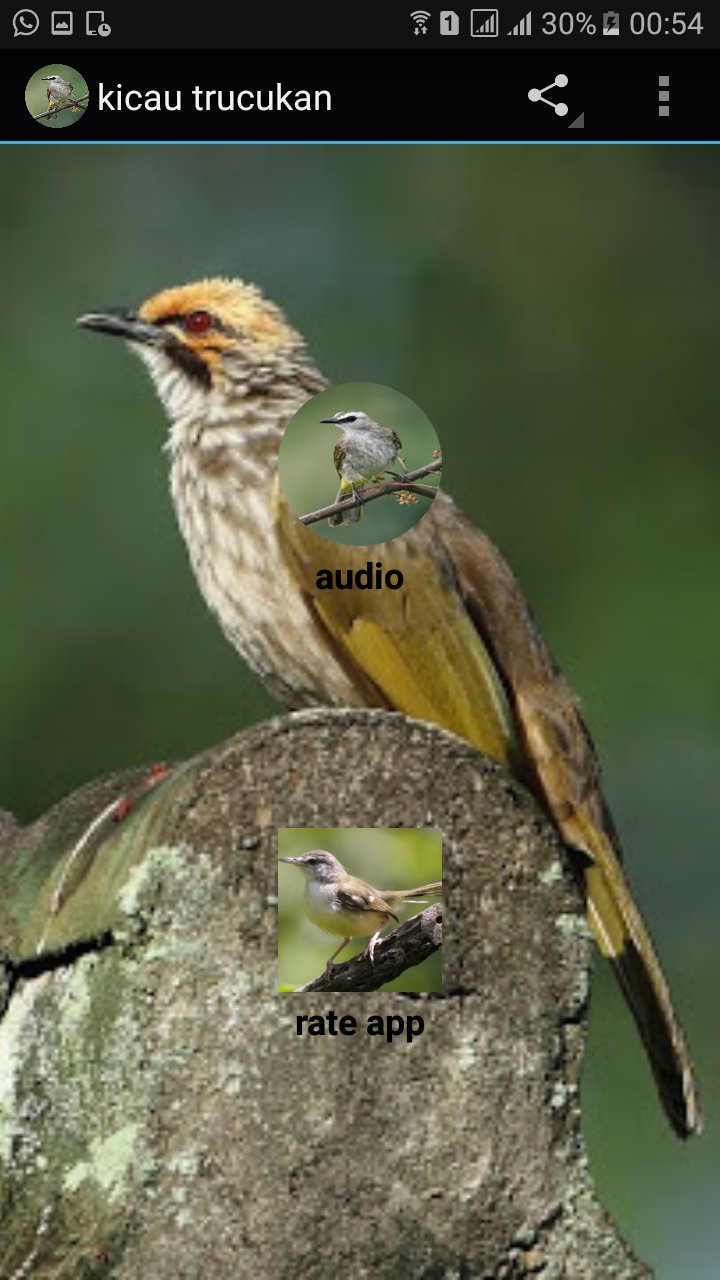 Kicau Trucukan Gacor For Android Apk Download