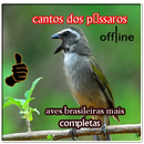 cantos dos pássaros brasileiro APK