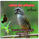 APK cantos dos pássaros brasileiro