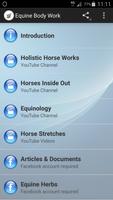 Equine Body and Health постер