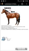 Lameness in Horses 截图 1