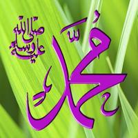 برنامه‌نما Mohammed Name Wallpaper عکس از صفحه