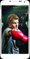 برنامه‌نما Boxing عکس از صفحه