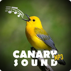 Canary Sound MP3 icon