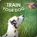 Dog Training - Train your Dog APK