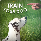 Dog Training - Train your Dog Zeichen